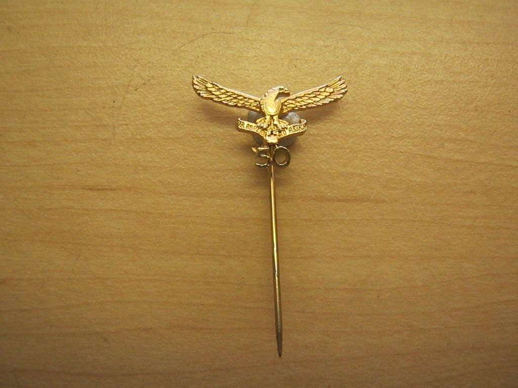 SAAF 50th anniversary pin badge.